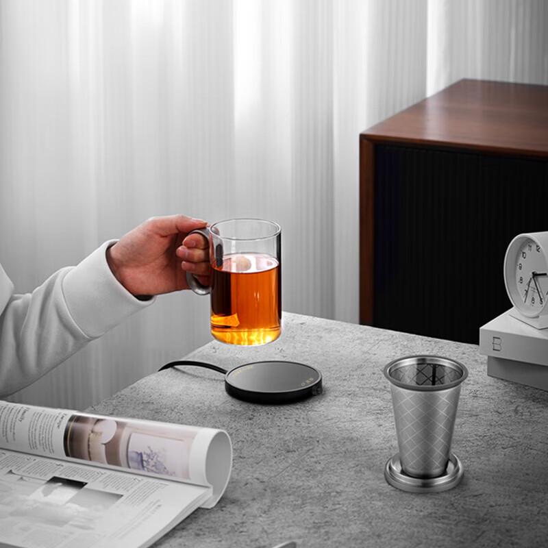 Borosilicate Glass Tea Mug with Aluminum Lid