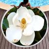 Fragrant Magnolia Flower Round Beach Towel,Soft Polyester Sand Resistant Beach Blanket,Absorbent Quick Dry Pool Towel Picnic Mat
