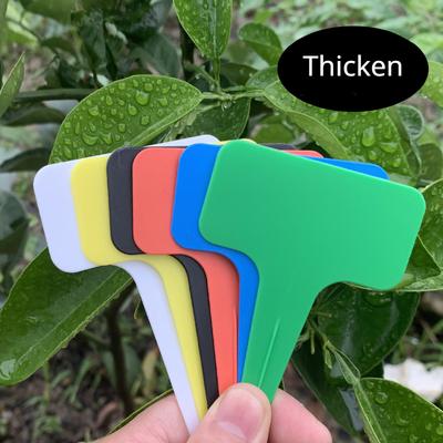 20Pcs Garden Flower Label Plant Label Succulent Plastic Label Flower Label Garden Label