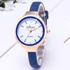 Fashion Casual Ladies Disc Leather Watch Quartz Watch Women Gift Watch