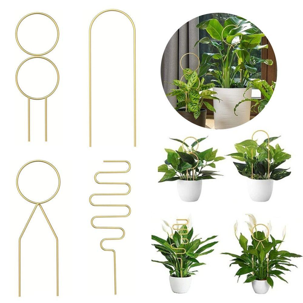 Iron Climbing Rack Garden Supplies Plant Sticks Decorations Plant Support Stakes  Garden