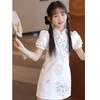 Girls' Embroidered New Chinese Style Princess Dress
