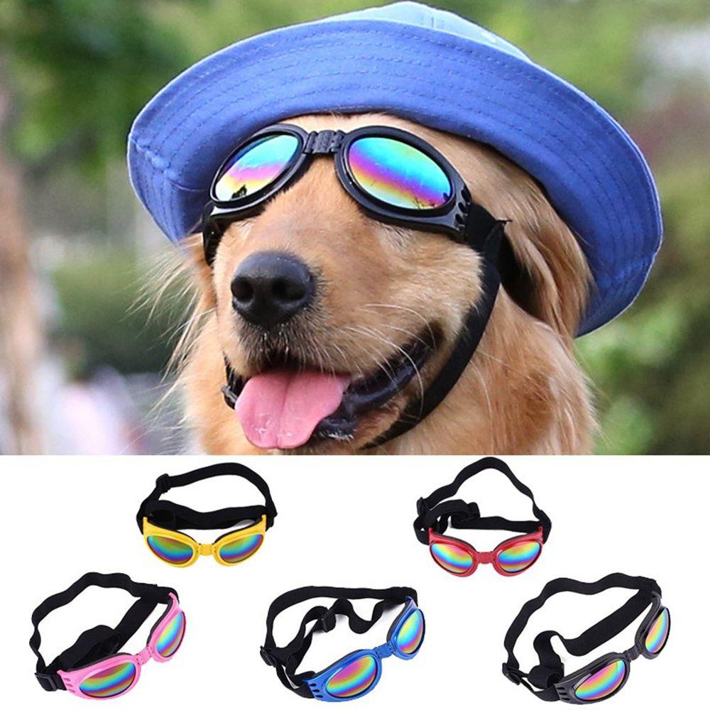 Waterproof Windproof Pet Eyewear Dog Protection Goggles Sunglasses UV Protection Pet Supplies