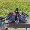 New Style British-Style Tropical Arched Transparent Umbrella with Stained Glass, Long Handle, Automatic, Large, Romantic, for Both Sunny and Rainy