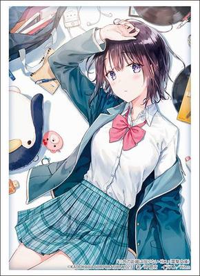 Bushiroad Sleeve Collection High Grade Dengeki Bunko Die Distanz zwischen den Dreiecken ist unendlich Null Vol.4295 "Minase Akiha/Haruka"