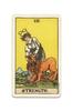 Nichiyu Tarot 78 Waite Fortune Telling Centennial Tarot 1909 Rider Edition is brought back to life in modern Includes Japanese booklet Deck, Cards,