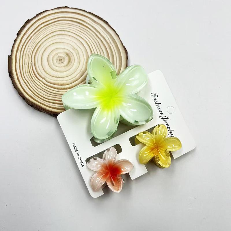 Sada skřipců do vlasů s frangipani: Květinové vlasové doplňky s imitací mramoru pro módní svátky
