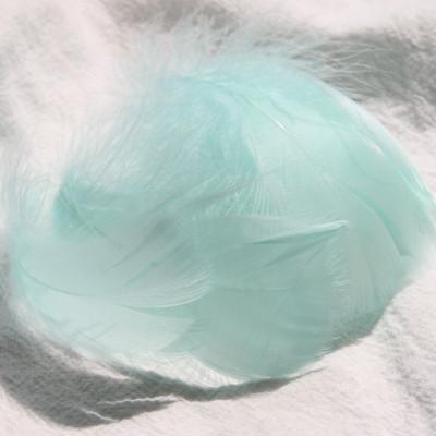 100 Stück 5-8 cm kleine flauschige Gänsefedern, farbig gefärbte Schwanenfedern für DIY Karnevalsparty-Dekoration, Bastelzubehör