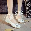 Sapatos Femininas Women Fashion Plus Size High Quality Spring & Summer Buckle Strap Canvas Shoes Dance Shoes Ab649