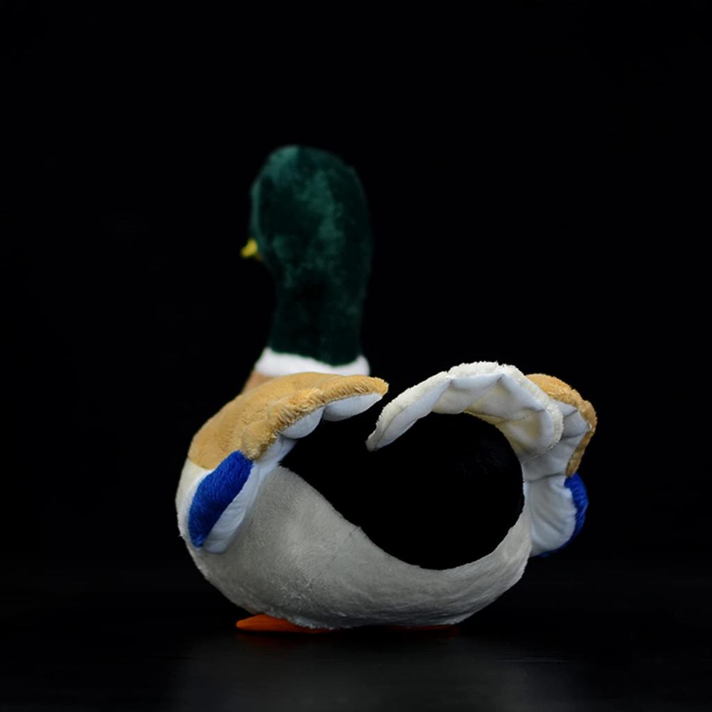 Simulation Cole Duck Plüschtier - Grüne Cole Ente Realistisches Stofftier Weiches Plüschtier 12 Zoll Realistische PP-Baumwolle Geschenk für Jungen und Mädchen Zuhause