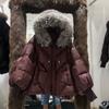 European winter new raccoon big fur collar hooded down jacket women's medium and long thickened warm knitted sleeve jacket