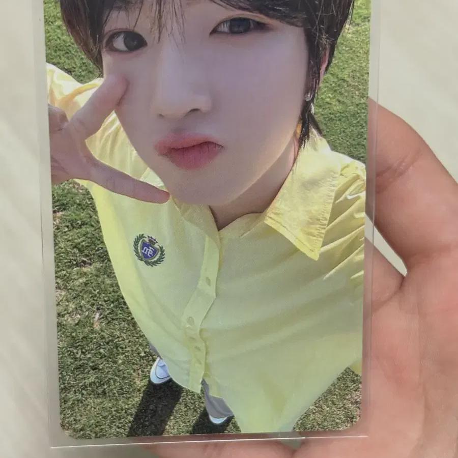 Nct Wish Pop Pop Dimamu Sakuya Photocard 
