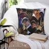 TSITP The Summer I Turned Pretty Pillow Cover Conrad Fisher Pillow Case Cushion Cover Pillowcases For Living Room Chair