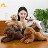 Cute Dog Plush Toy With Hoodie Design For Home Decor And Gift For Animal Lovers Characters Included)