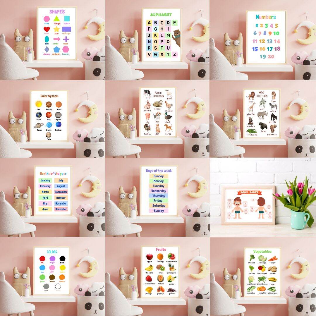 Thick film laminated charts Bundle of 12 pcs educational charts size A4 minimalist bundle of 12