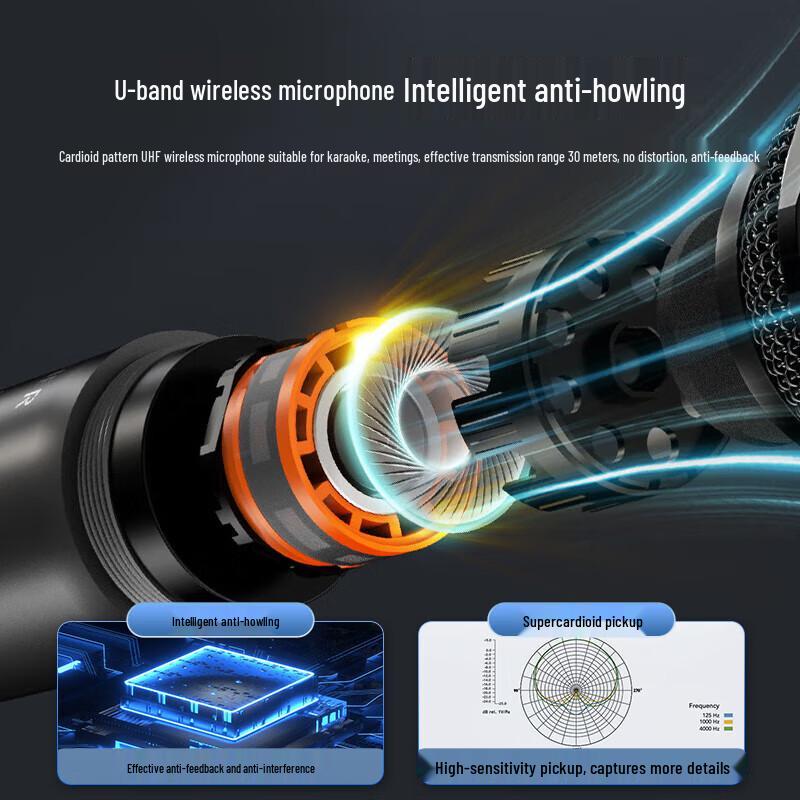 Edifier Outdoor Portable Bluetooth KTV Speaker with Wireless Microphones