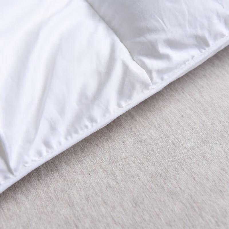 PLOVER Premium White Duck Down Quilt