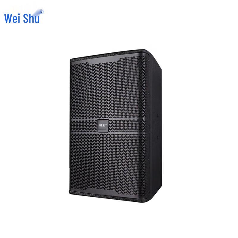 

Weishu 10-inch Professional Passive Full-range Speaker