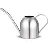 AIMOONSA Arrosoir acier inox 30 oz (0,9 L) - Bec long antigoutte, remplissage facile, idéal plantes & jardin
