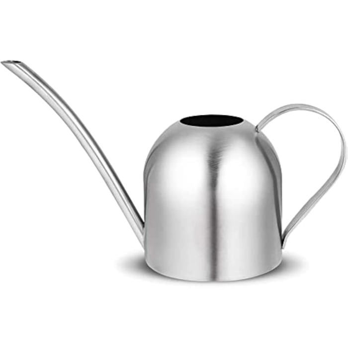 AIMOONSA Arrosoir acier inox 30 oz (0,9 L) - Bec long antigoutte, remplissage facile, idéal plantes & jardin