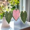 Luxury Coral Fluff Towel: Ultra-Soft & Absorbent for Kitchen/Bathroom with Leaf Design & Hanging Loop