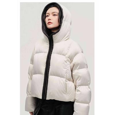 Chaquetas y abrigos – Chaquetas
