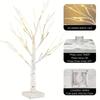 24 LED Easter Tree, Birch Tree Adjustable Branches 3AA and USB Power Supply, Bedroom Decorative Tree Light 60cm