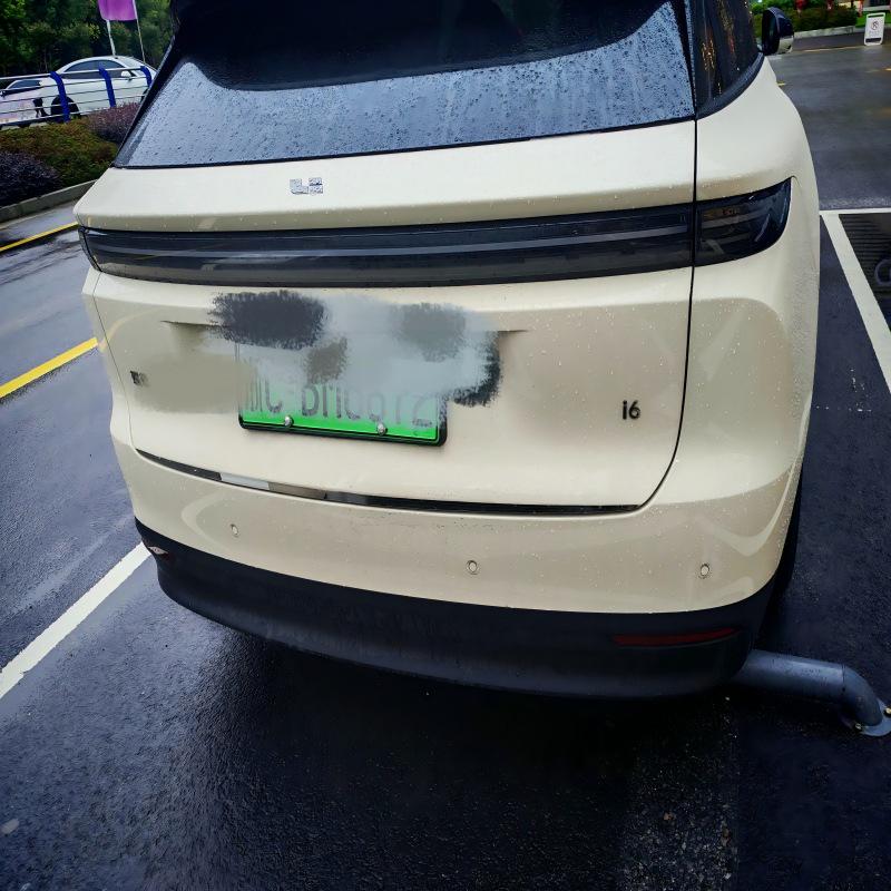 Ideal I6 Door & Tailgate Trim Strip Tailgate Trim Strip x1