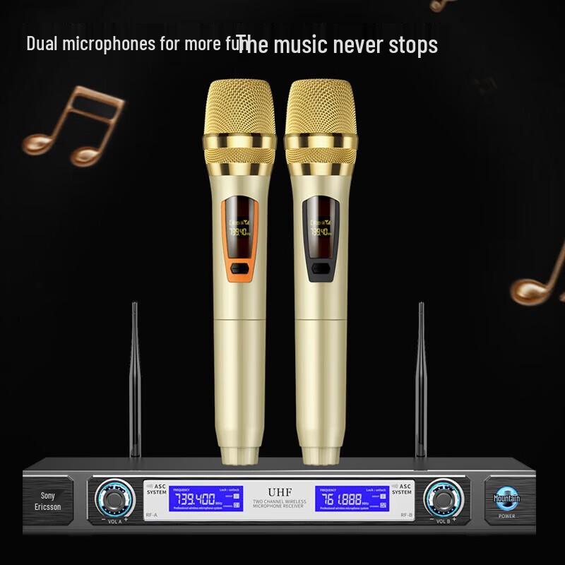 Soaiy CK-M20 Professional KTV & Home Theater Audio System