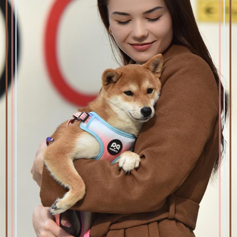 Pet Chest Harness Gradient Dog Leash Vest-style Dog Walking Rope Small and Medium-Sized Dog Harness