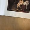 [USED] Mauritshuis Art Exhibition Collection