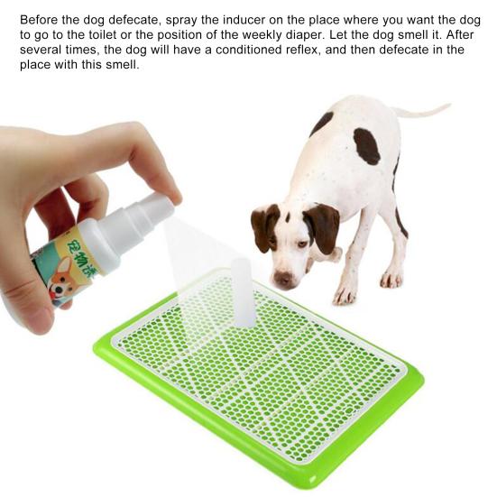 30ml Pet Dog Puppy Toilet Indoor Outdoor Urinating Pee Training Aid Spray Agent