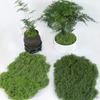 50 г искусственный мох DIY поделки трава искусственный мох искусственный консервированный мох зеленые растения для дома комната сад декор мини ландшафт искусственная трава