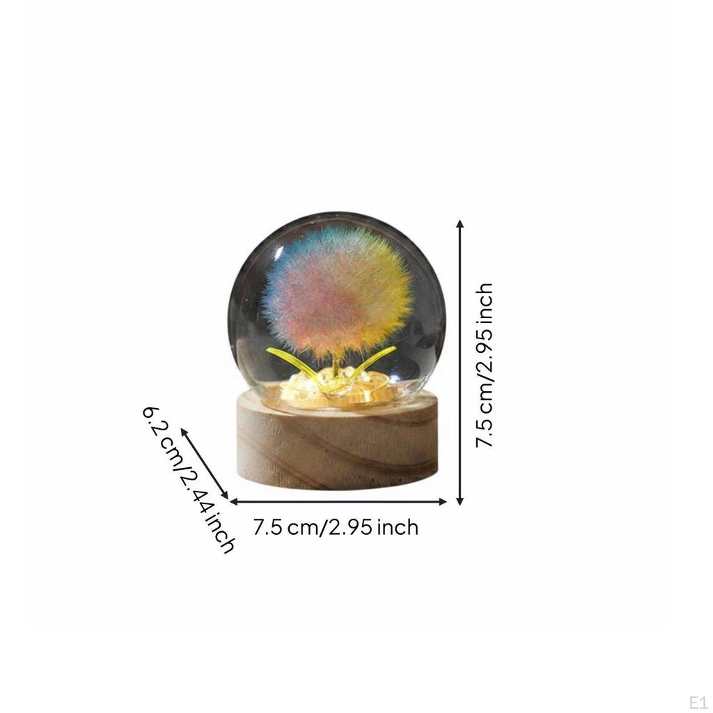 Puffball Crystal Ball Lamp Gift Idea Dome Decorative Decoration Glass Cover Night