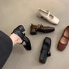 French Retro Square Toe Mid-Heel Mary Jane Shoes for Women - Elegant Spring & Autumn Style with a Chunky Heel and Fairy Aesthetic