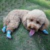 Yousheng 4Pcs Pet Shoes Lightweight Wear-resistant Breathable Fashion Dogs Mesh Sneakers Pet Supplies