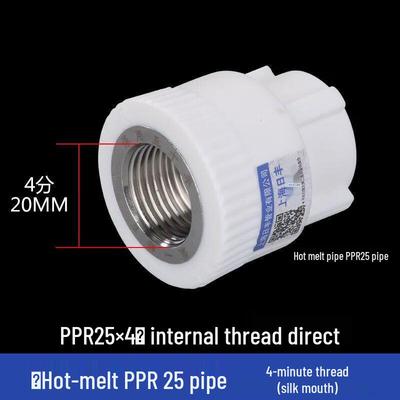 OLOMM PPR Internal Thread Straight Connector
