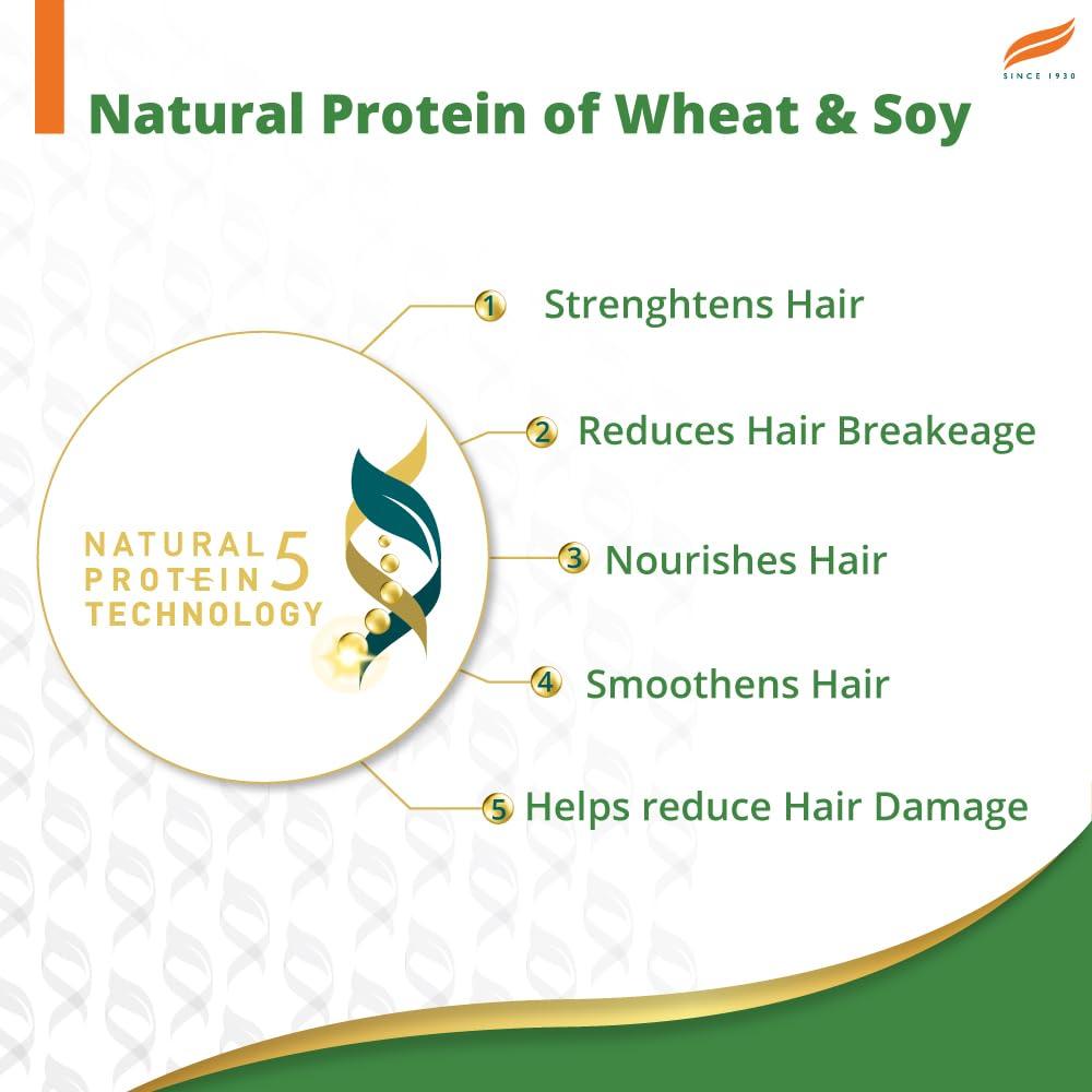 Himalaya Gentle Daily Care Natural Protein Shampoo For Soft Smooth Hair, Reduces Hairfall, Nourishing Cleanser For Men & Women, 340 Ml