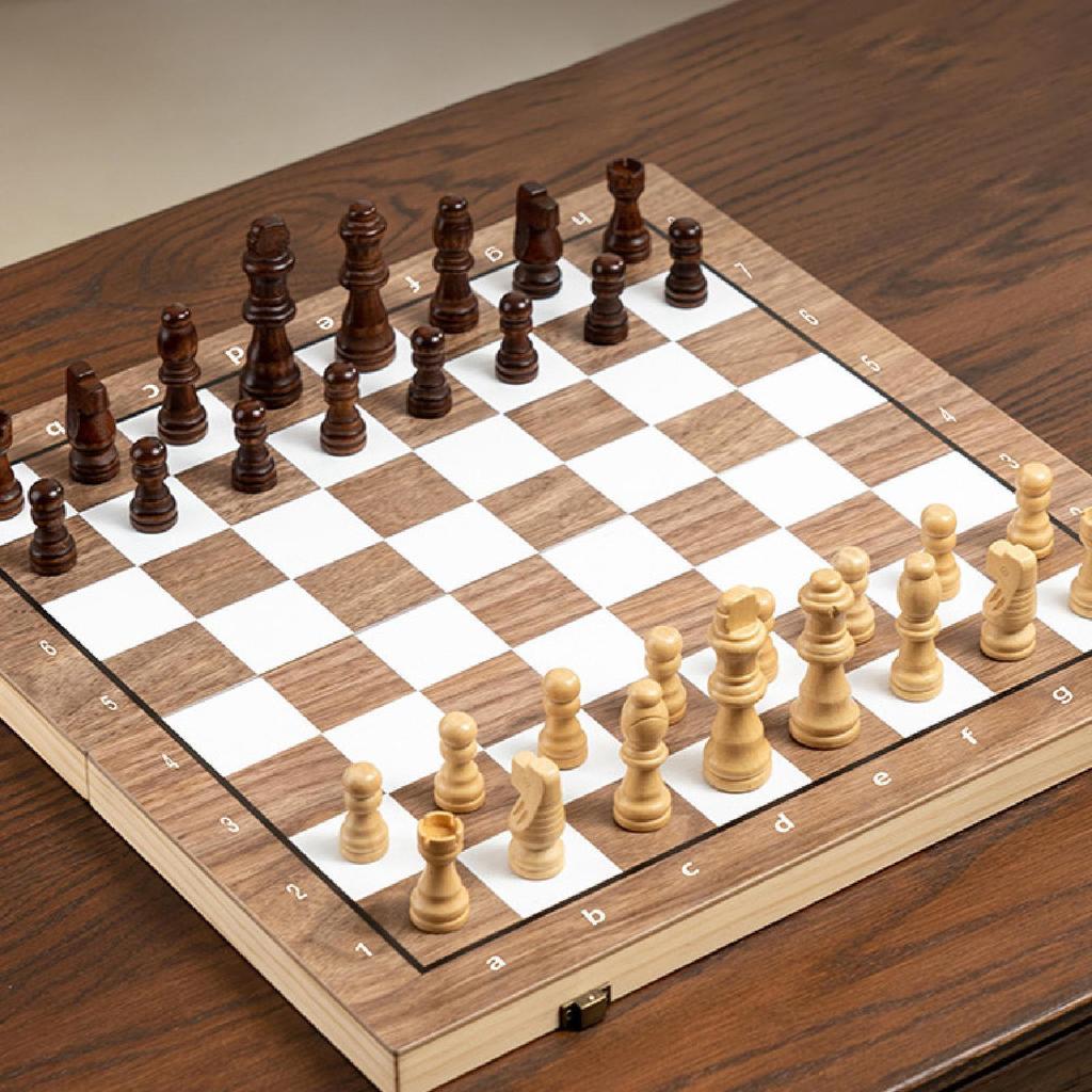 Chess Set Travel Game and Checkers Set,Checkers Board Game,Wooden Educational Toy for