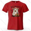 Pumpkin Ghost Cow Cartoon Printed Unisexs and Womens Fashion Trend Short Sleeve Summer New Soft Skin Friendly Casual Tshirt