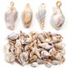 10-100pcs Natural Shell Acrylic Beads Ocean Light Brown  Seashell Pendants For Jewelry Making DIY Bracelets Keychain Accessories