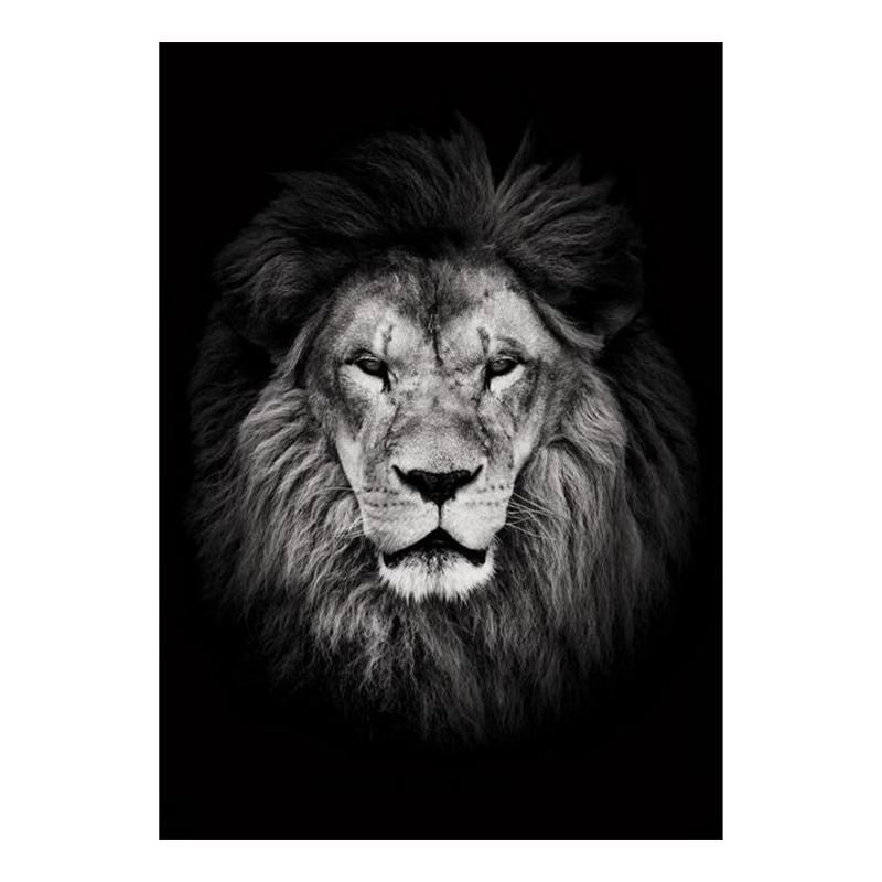 Schwarz-weiße Tiere Kunst Löwe Leinwand Malerei Moderne Poster und Drucke Wandbilder für Wohnzimmer Home Cuadros Dekor