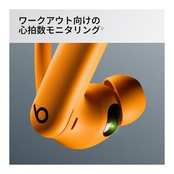 Beats Powerbeats Pro 2 Wireless Earbuds - Active Noise Cancellation, Apple H2, IPX4 Sweat and Water Resistant, Up to 45 Hours of Playtime (with