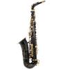 Eb Alto Saxophone Brass Lacquered Gold E Flat Sax 82Z Key Type Woodwind Instrument with Cleaning