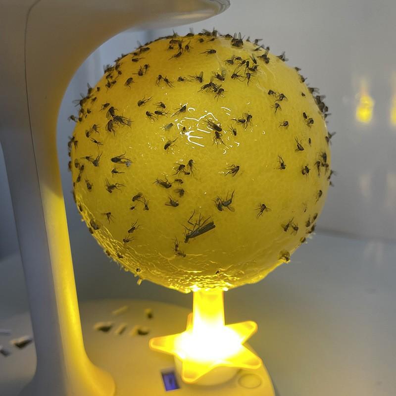 Fruit Fly Trap 1PC Reusable Non-Toxic Sticky Flying Insect Trap Ball for Kitchen Garden Patio Indoor Outdoor Use B