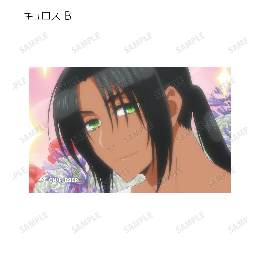 TV Anime [The Zapped Young Lady is Adored by Her Sister's Ex-Fiance] Trading Scene Illustration Cards Box of 8