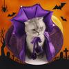 Cloth Halloween Pet Cloak Star Dog Witch Costume Cute Pet Witch Cloak Halloween Atmosphere