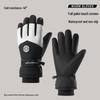 Winter Warm Thickened Ski Gloves