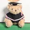 Cute Doctoral Bear Graduation Bear Doll Plush Toy Hat Doctoral Bear Doll Bachelor Bear