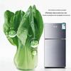 Compact Single-Door Refrigerator for Apartments/Offices